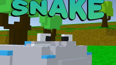 Blocky Snake