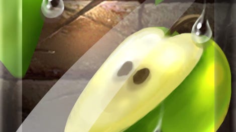 Fruit Slice