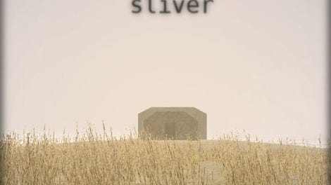 The Moon Sliver