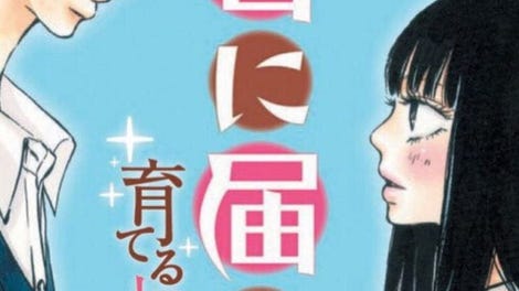 Kimi ni Todoke: Sodateru Omoi