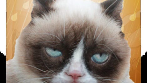 Grumpy Cat: Unimpressed - Kotaku