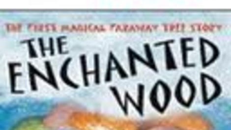 Flips: The Enchanted Wood