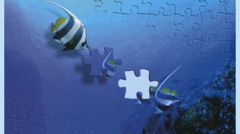 Dejig: Aqua World
