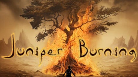 Juniper Burning