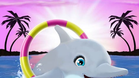 My Dolphin Show