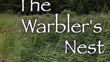 The Warbler's Nest