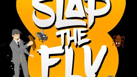 Slap the Fly