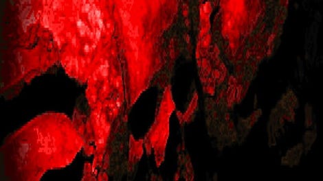 Scorn