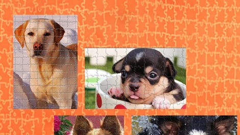 Pixel Puzzles Ultimate: Dogs