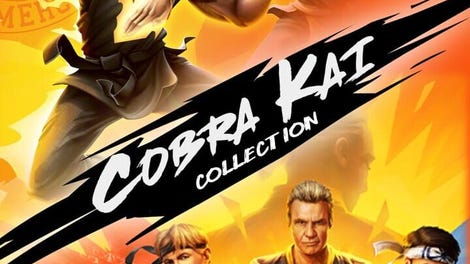 Cobra Kai Collection