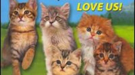I Love Kittens!