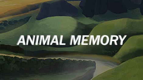 Animal Memory