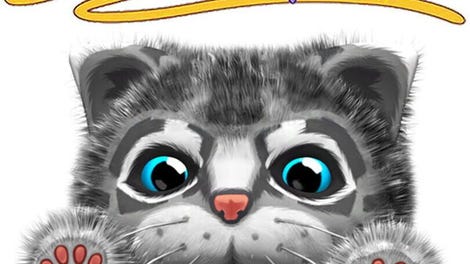 Kitty Play