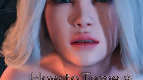 How to Tame a Succubus