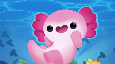 Axolochi