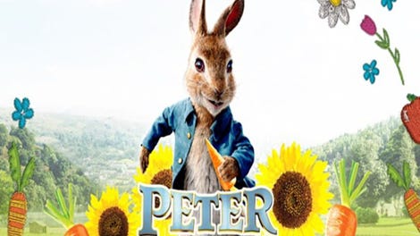 Peter Rabbit Maze Mischief