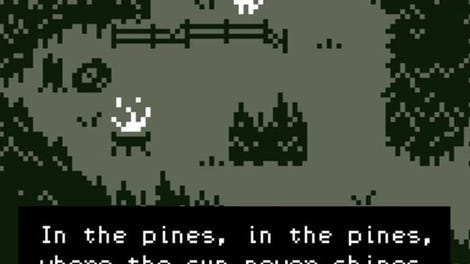 In the pines, in the pines, where the sun never shines