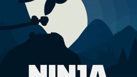 Ninja Knight