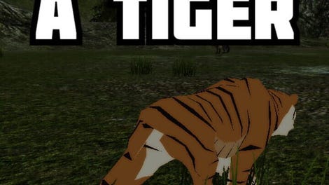 Let's be a Tiger