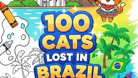 100 Cats Lost in Brazil