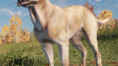 TheHunter: Call of the Wild - Labrador Retriever