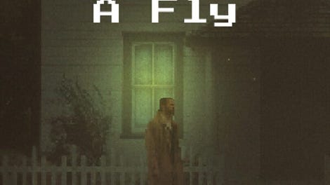 A Spider to A Fly