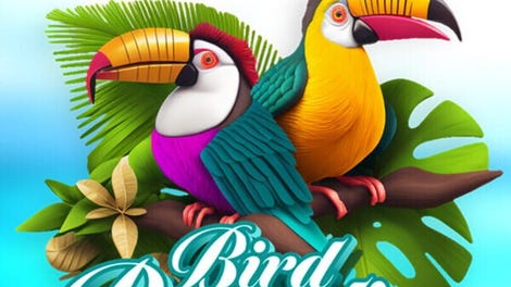 Twistingo: Bird Paradise - Collector's Edition