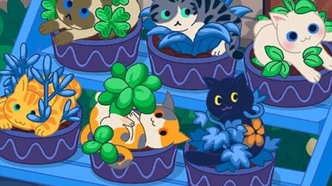 Meows Farm