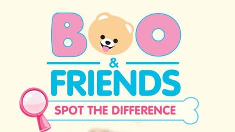 Boo & Friends: Spot the Difference