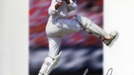Brian Lara Cricket '96