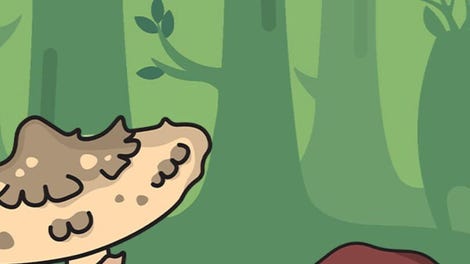 Land of Mushrooms