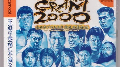 Giant Gram 2000: All Japan Pro Wrestling 3