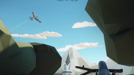 Bird Go Sky