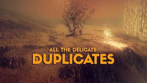 All the Delicate Duplicates