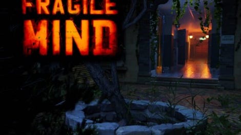 A Fragile Mind