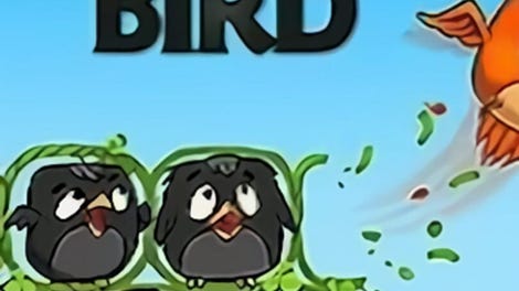 Bird Vs Bird