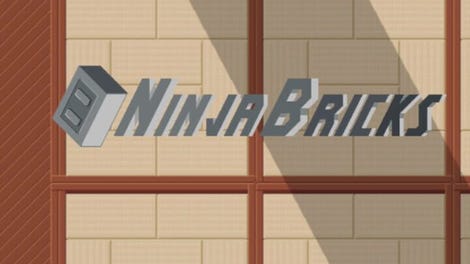 Ninja Bricks