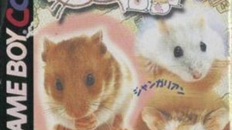 Hamster Paradise 3