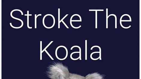 Stroke the Koala