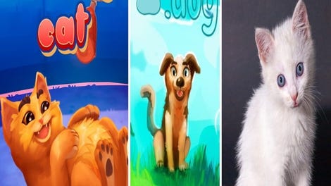 2 Cats & 1 Dog