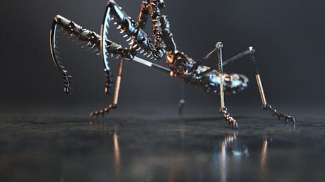 Beetle Hunter