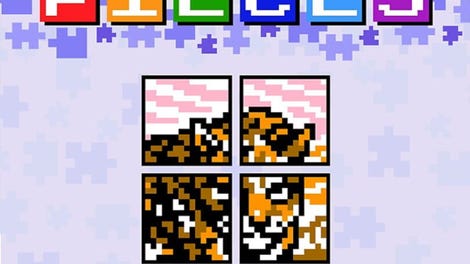 Pic-a-Pix Pieces
