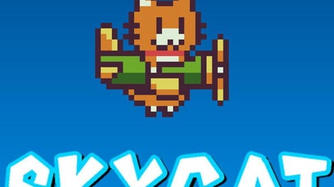 Skycat