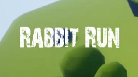 Rabbit Run