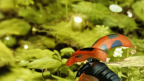 Insect Flight Simulator VR
