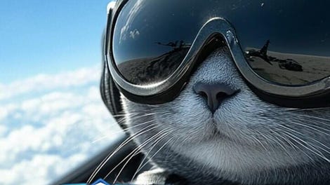 Jet Combat: Cats vs. Dogs Military Simulator