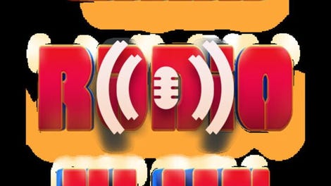 Wild Radio Flux
