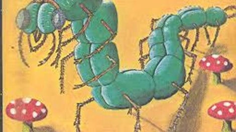 Centipede