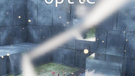 Scientific Project: Optic