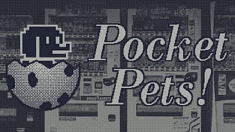 Pocket Pets!